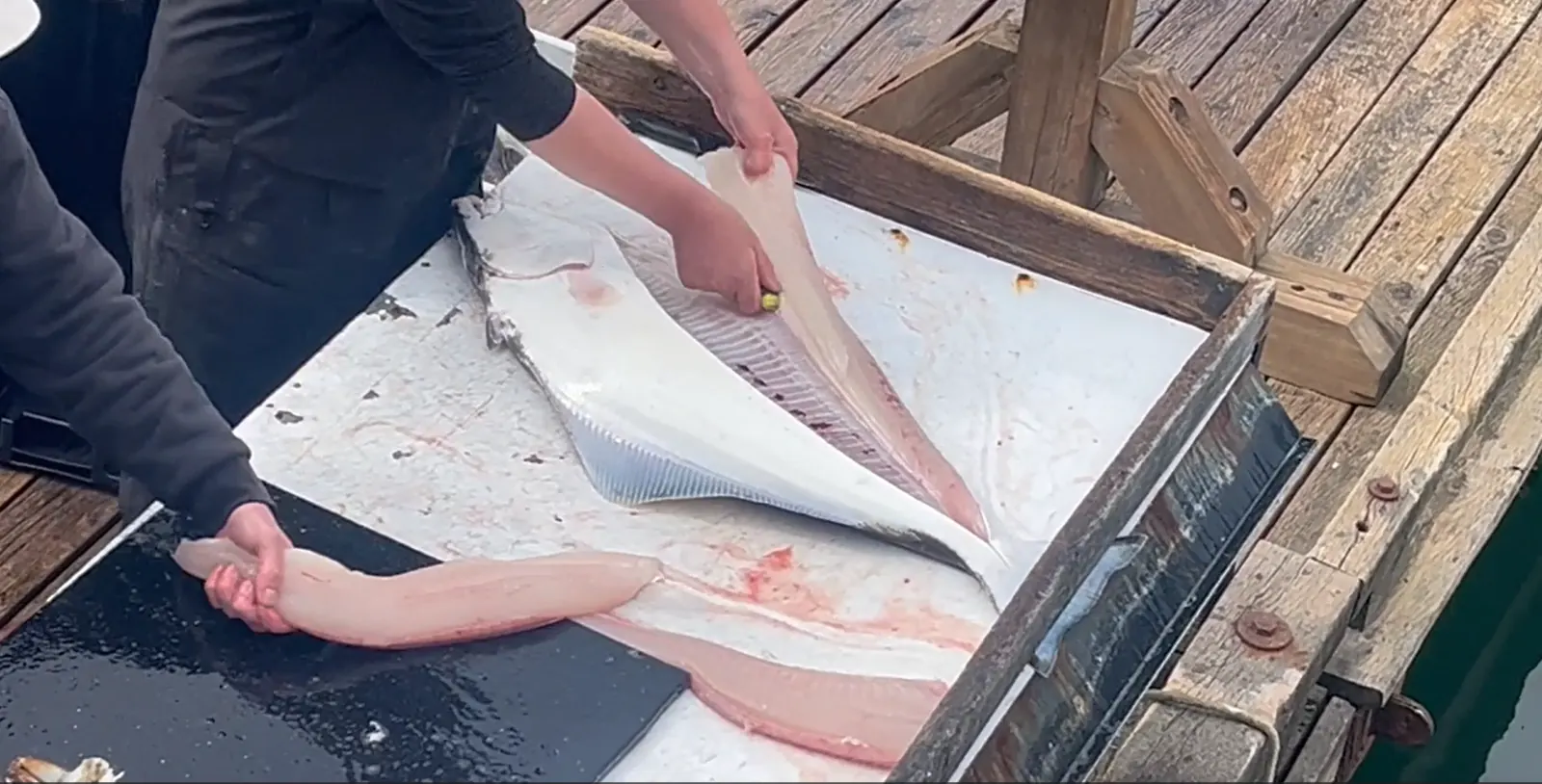 Fish processing, cutting, storage, and pickup services